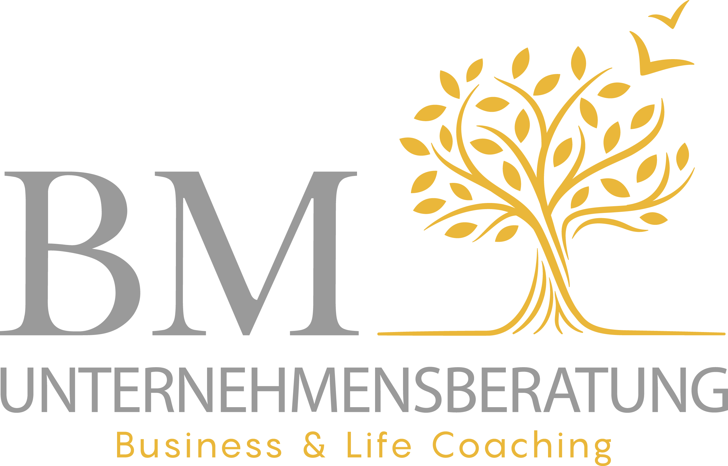 Business and Life Coaching